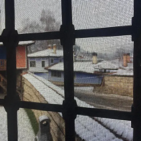 Pensjonat чолаковата къща Kopriwsztica